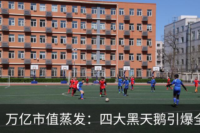 万亿市值蒸发：四大黑天鹅引爆全球金融市场史诗级踩踏！