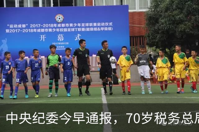 中央纪委今早通报，70岁税务总局原巡视员王振华被查，曾任副司长