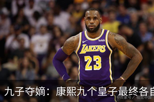 九子夺嫡：康熙九个皇子最终各自下场