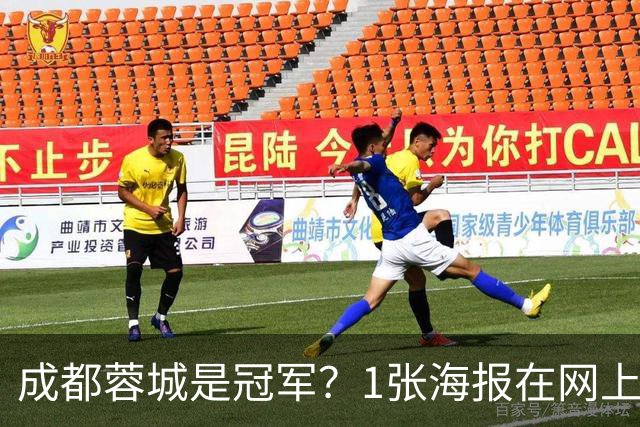 成都蓉城是冠军？1张海报在网上热传：5支中超球队共同托起大连英博冠军梦