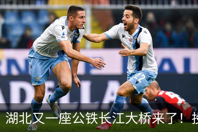 湖北又一座公铁长江大桥来了！投资‌116亿元‌，路线长‌9.7公里