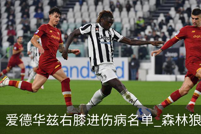 爱德华兹右膝进伤病名单 森林狼战骑士存变数