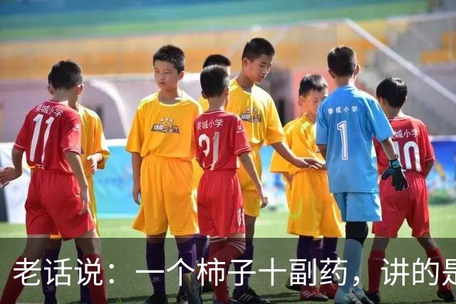老话说：一个柿子十副药，讲的是什么意思？