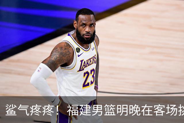 鲨气疼疼！福建男篮明晚在客场挑战卫冕冠军上海男篮